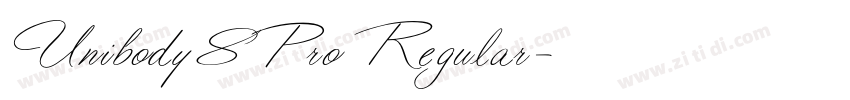 Unibody8Pro Regular字体转换